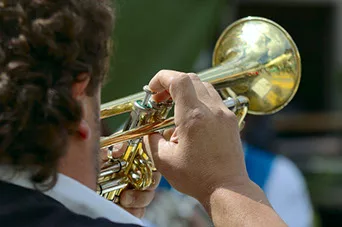 bigstock-trumpeter-1822334